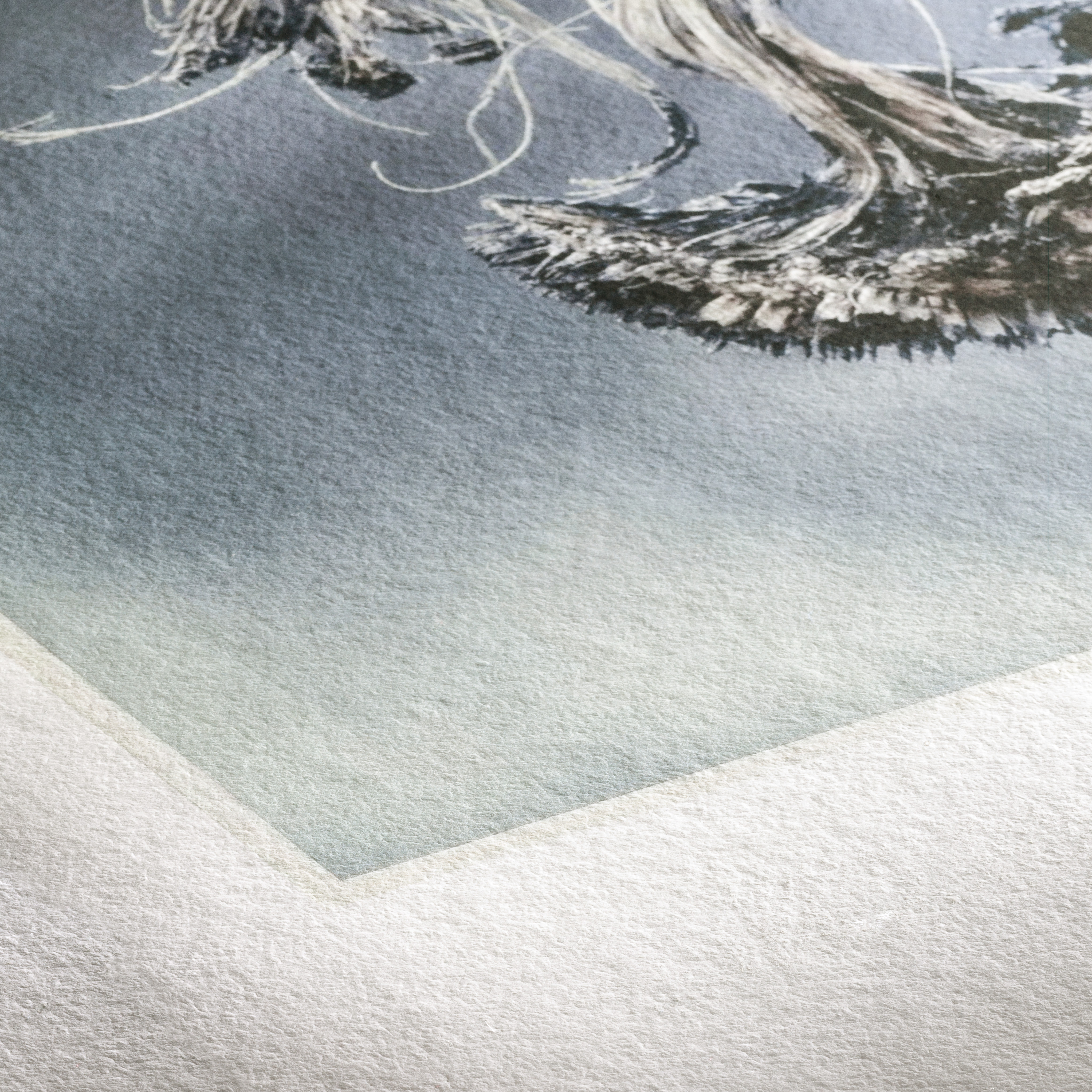 HahnemĂĽhle Museum Etching - 350 GSM museum-quality paper with beautiful tactile texture